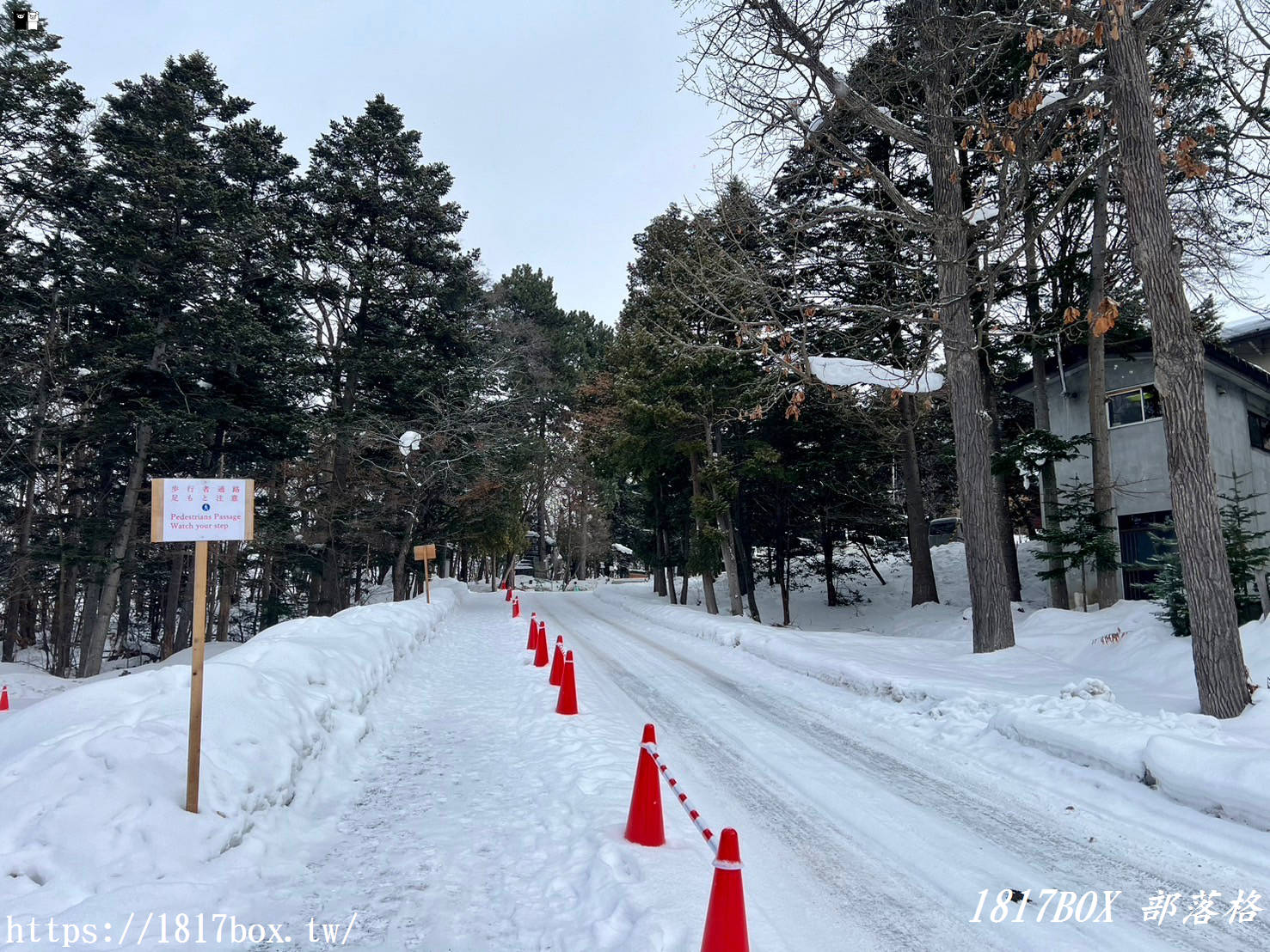 【北海道景點】上川神社。提升金錢運的神社