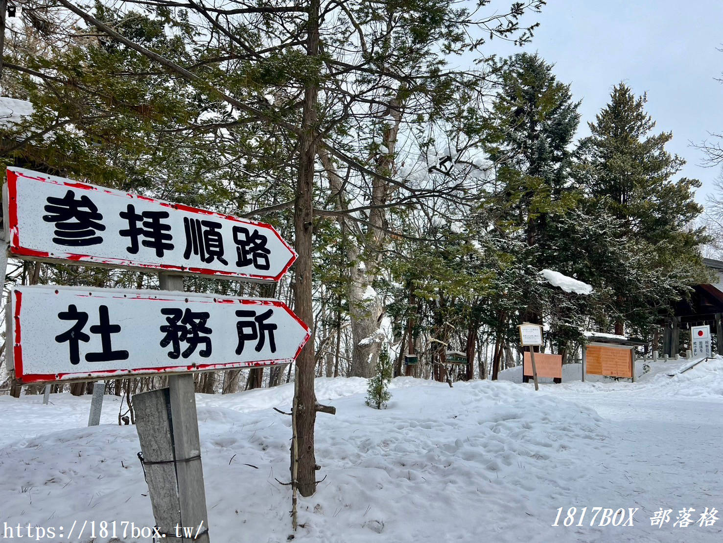 【北海道景點】上川神社。提升金錢運的神社