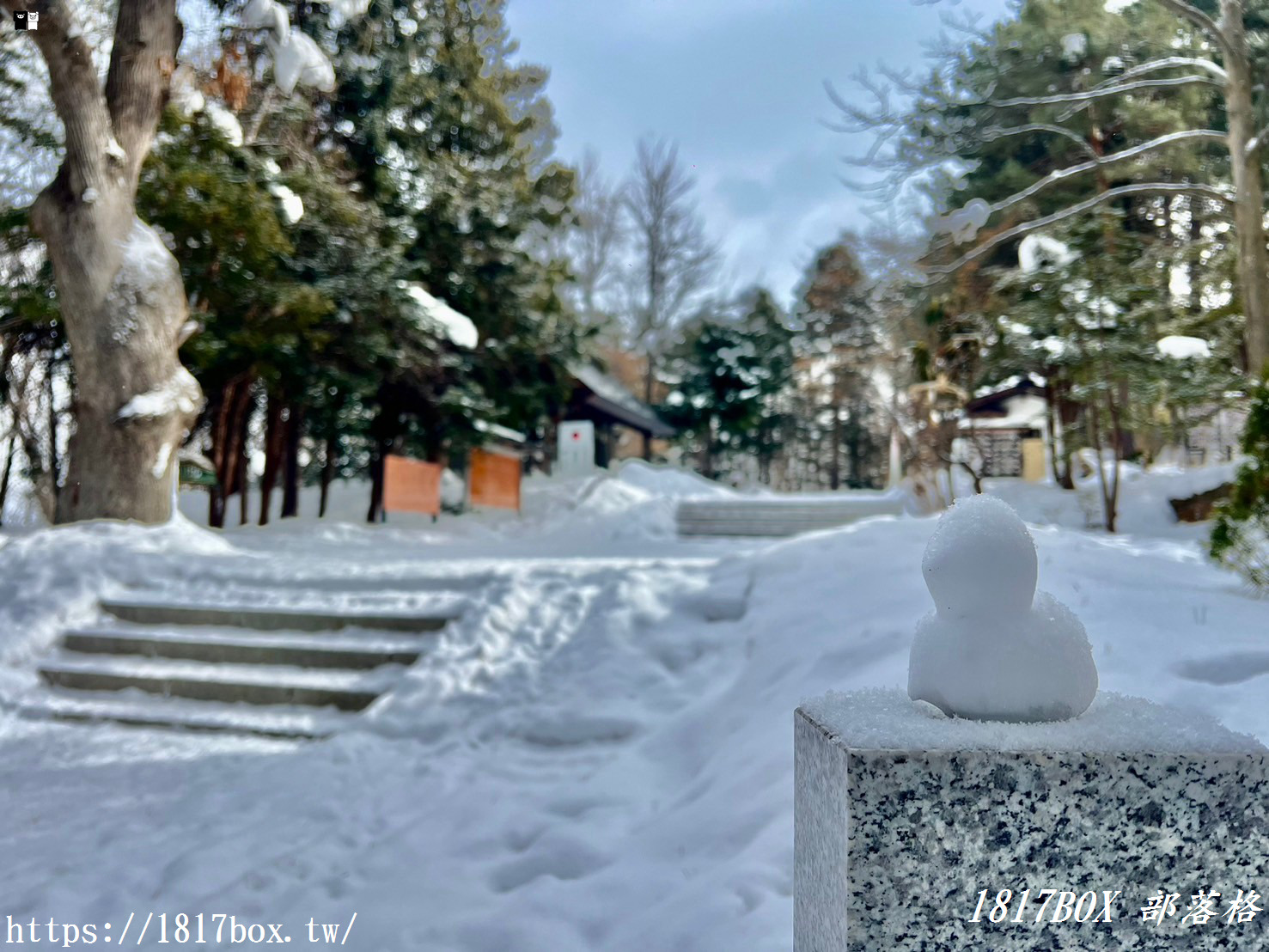 【北海道景點】上川神社。提升金錢運的神社