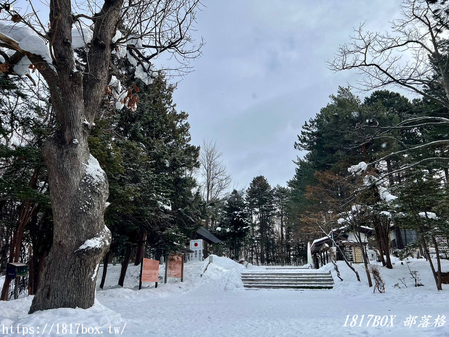 【北海道景點】上川神社。提升金錢運的神社