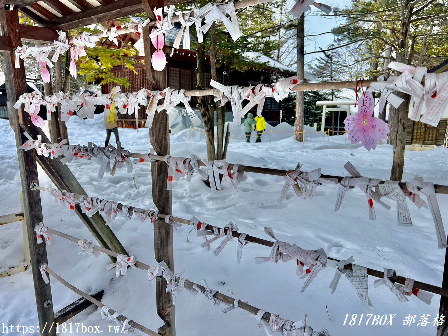 【北海道景點】上川神社。提升金錢運的神社