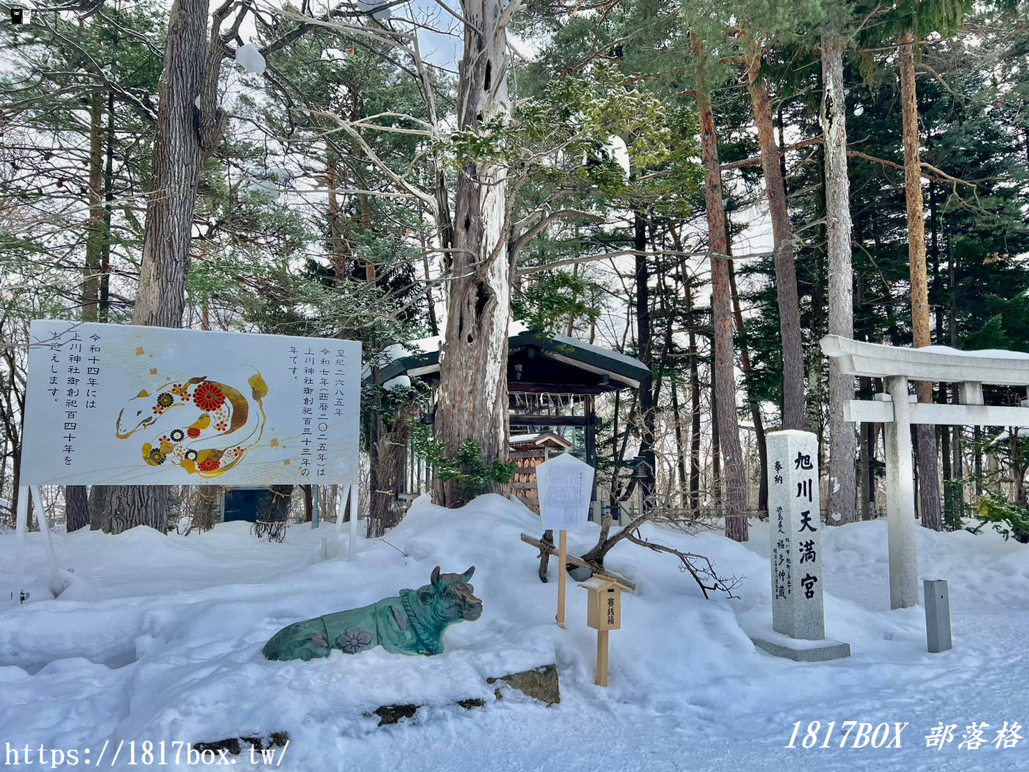 【北海道景點】上川神社。提升金錢運的神社