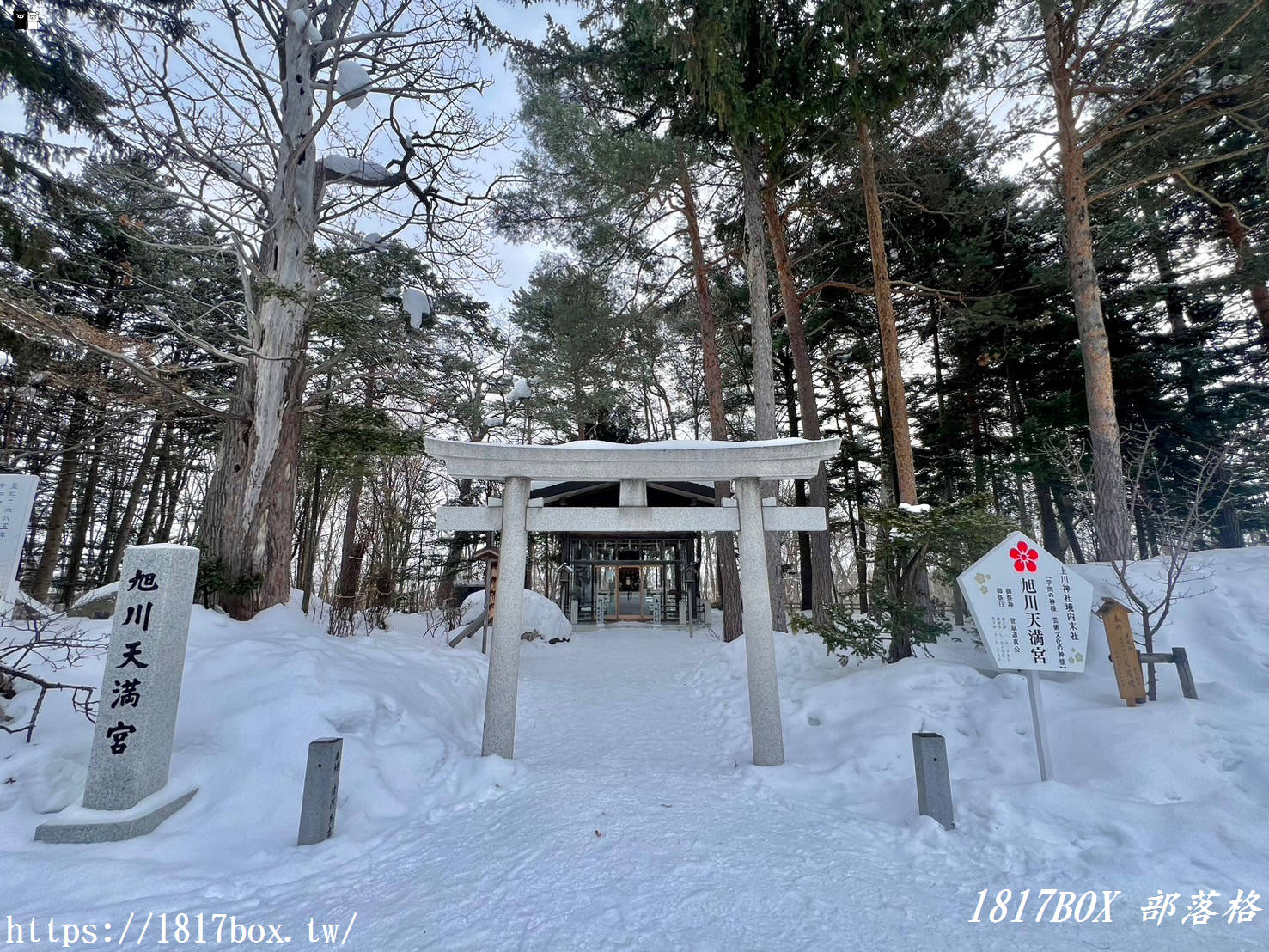 【北海道景點】上川神社。提升金錢運的神社