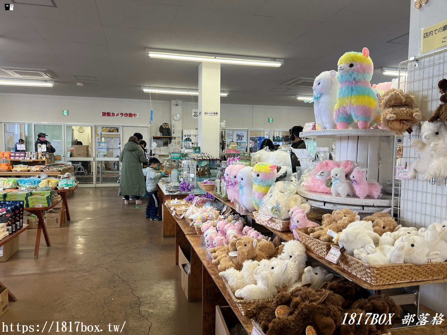 【北海道景點】四季彩之丘。美麗農村風光的展望花圃。四季不同風情