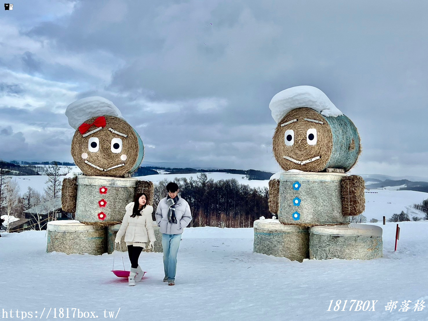 【北海道景點】四季彩之丘。美麗農村風光的展望花圃。四季不同風情