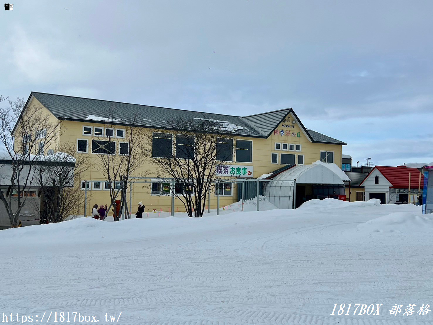 【北海道景點】四季彩之丘。美麗農村風光的展望花圃。四季不同風情