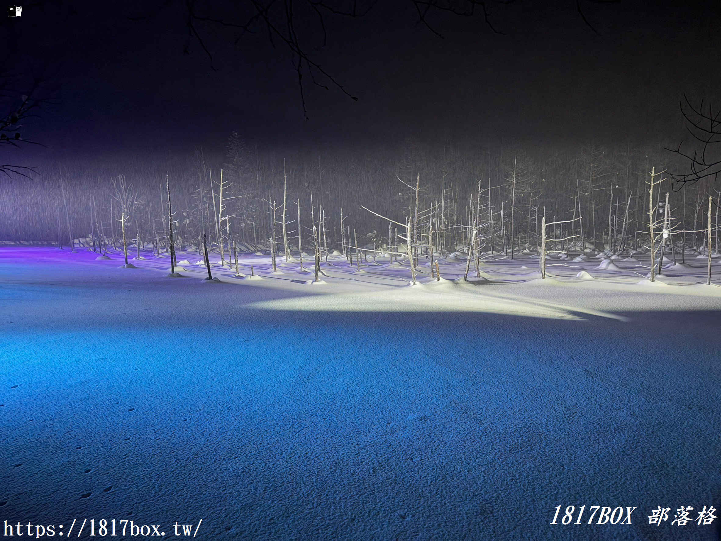 【北海道景點】白金青池。美麗的青色池水。醞釀出奇幻景色