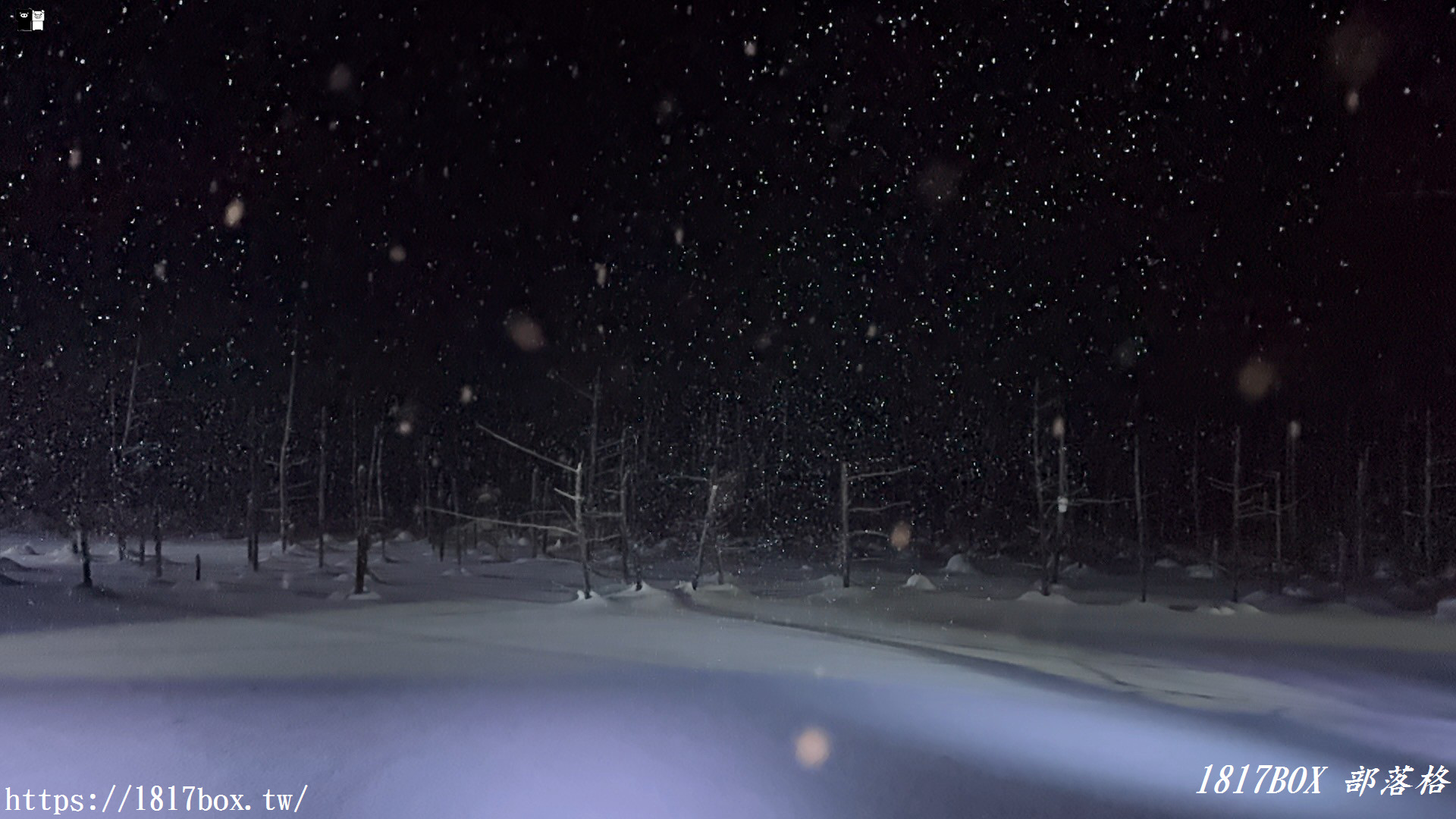 【北海道景點】白金青池。美麗的青色池水。醞釀出奇幻景色