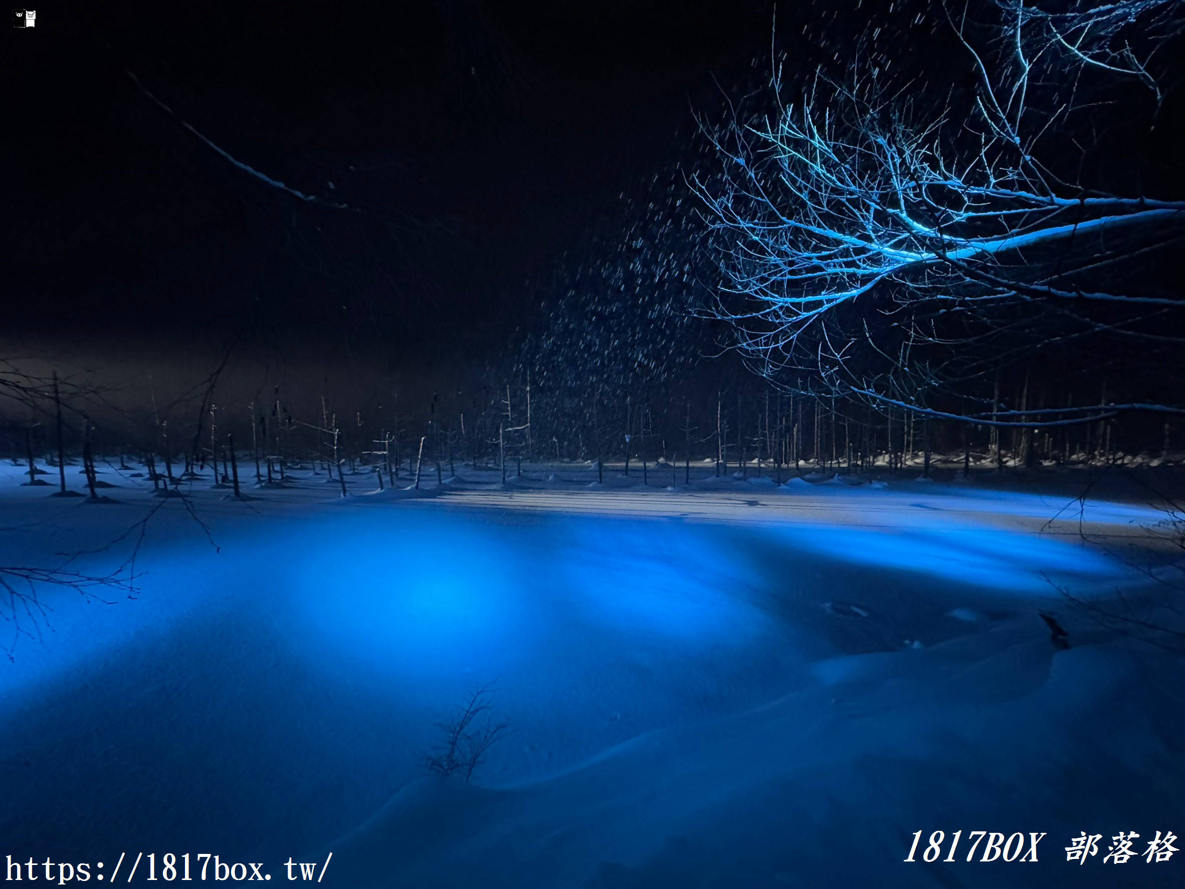 【北海道景點】白金青池。美麗的青色池水。醞釀出奇幻景色