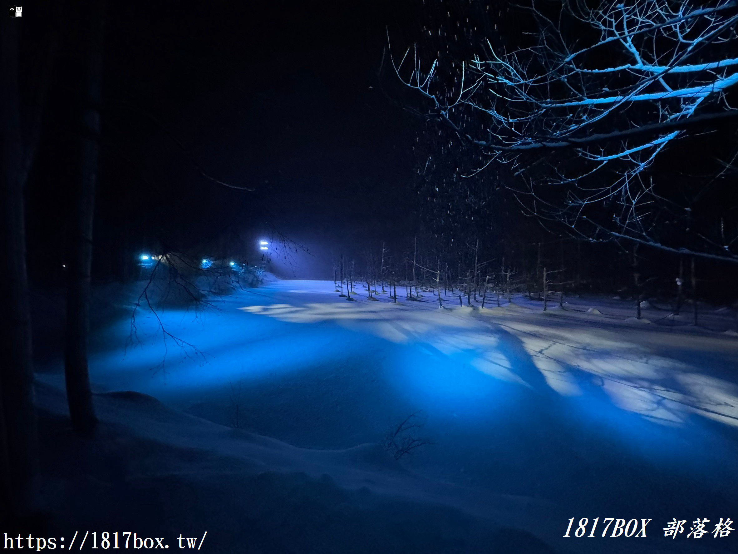 【北海道景點】白金青池。美麗的青色池水。醞釀出奇幻景色