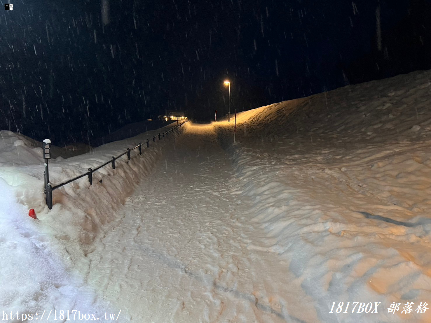 【北海道景點】白金青池。美麗的青色池水。醞釀出奇幻景色