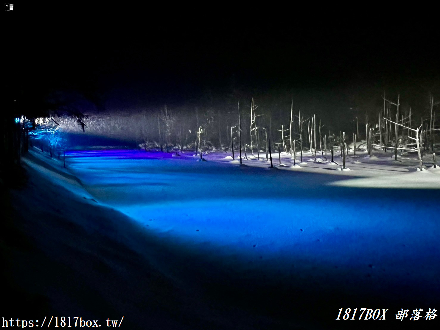 【北海道景點】白金青池。美麗的青色池水。醞釀出奇幻景色