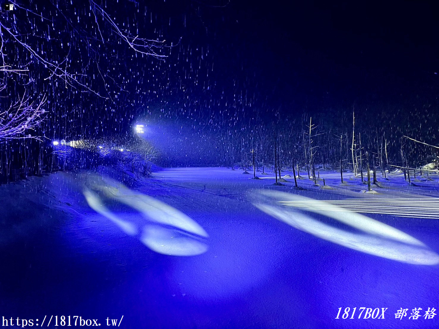 【北海道景點】白金青池。美麗的青色池水。醞釀出奇幻景色