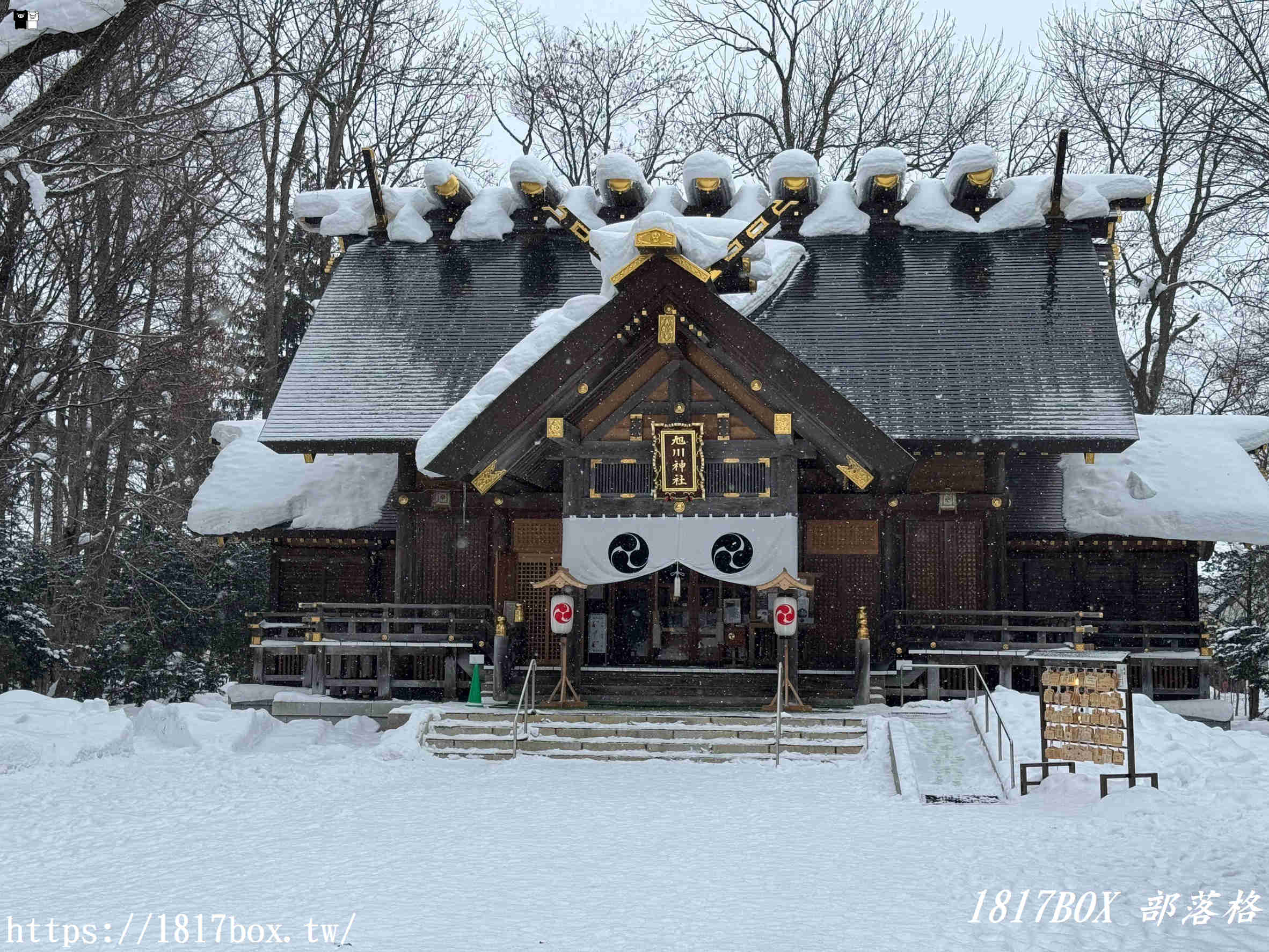 【北海道景點】旭川神社。提升戀愛運的神社