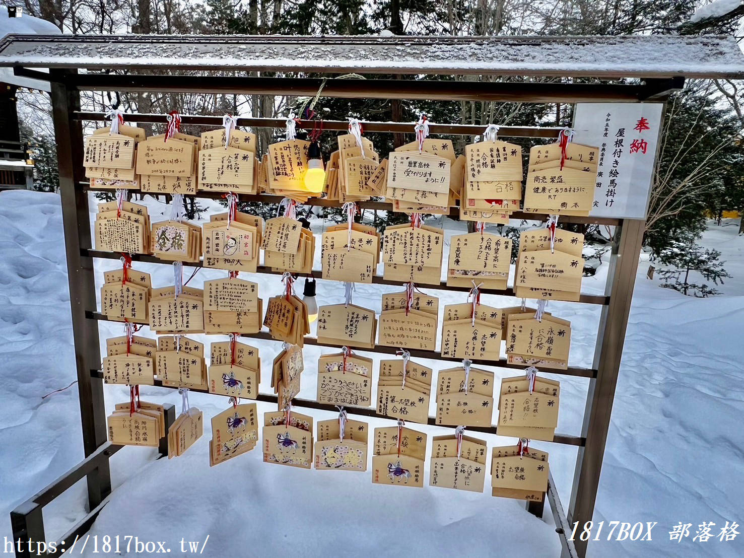 【北海道景點】旭川神社。提升戀愛運的神社