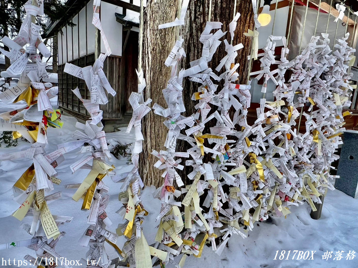 【北海道景點】旭川神社。提升戀愛運的神社