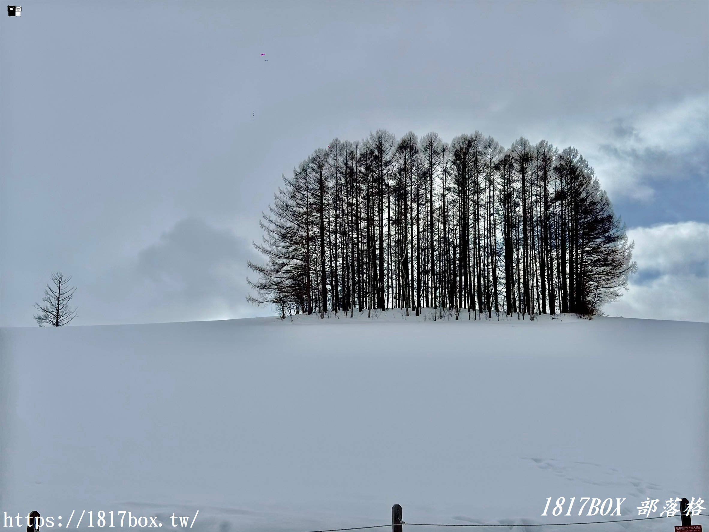 網站近期文章：【北海道景點】日本IG熱點。MILD SEVEN之丘。Mild seven hills 。Land Mann ランドマン