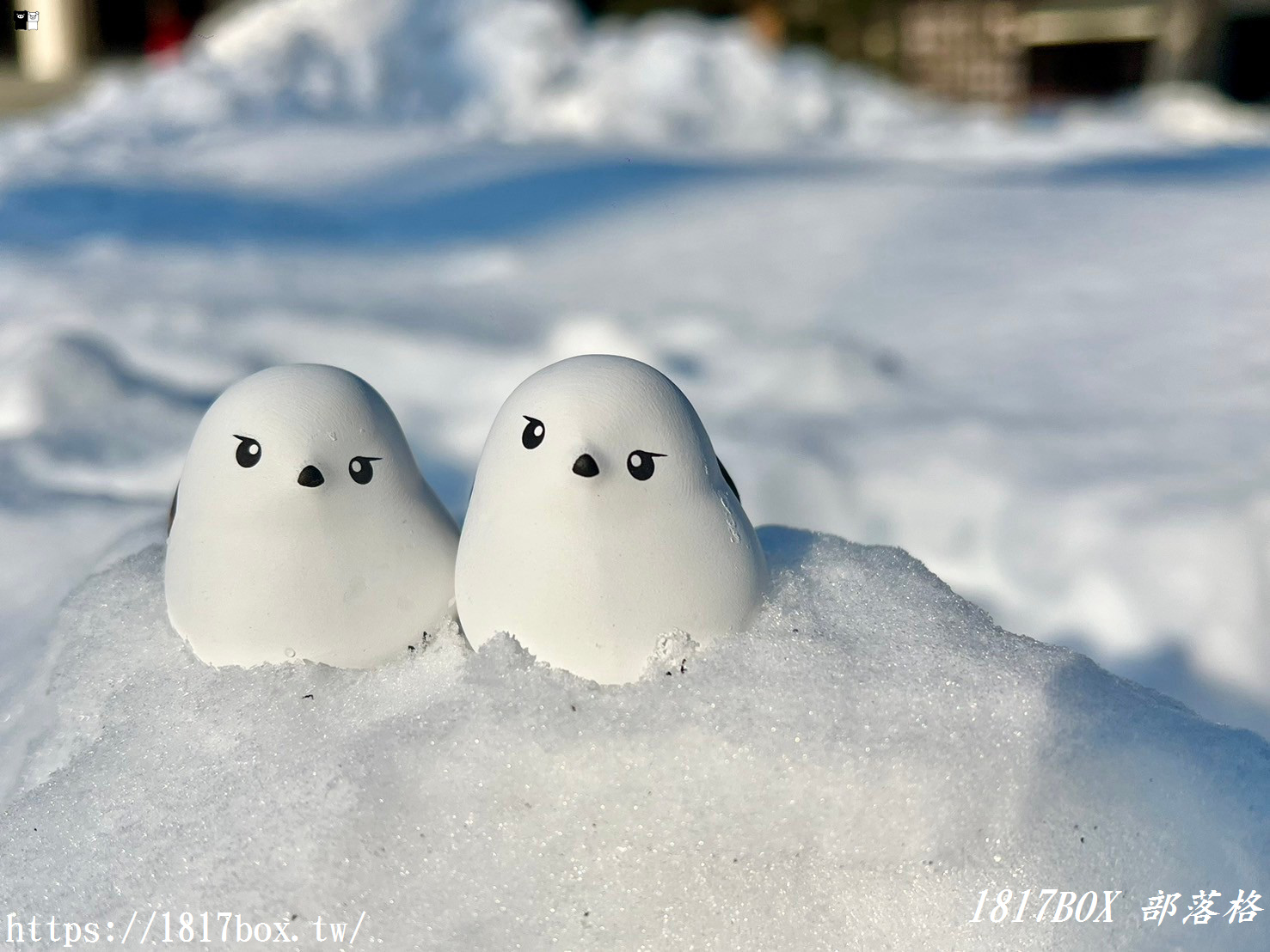 【北海道景點】帶廣神社。結合北海道風情和可愛感的神簽。雪之妖精話題性超高！