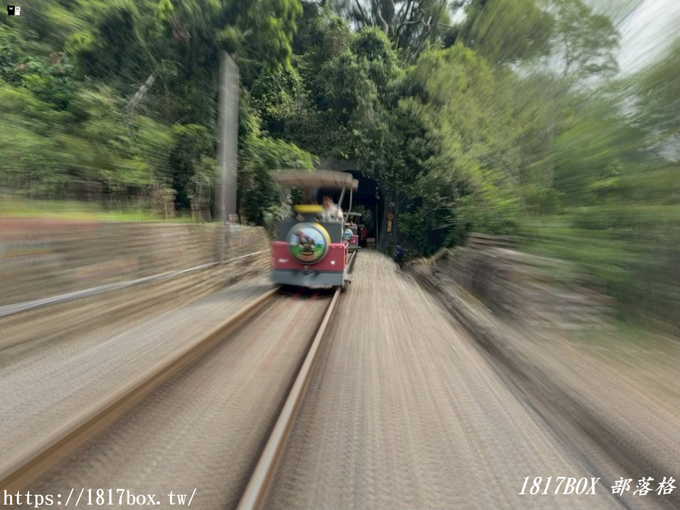 【苗栗。三義】舊山線鐵道自行車。C路線龍騰站。6號隧道。鯉魚潭水庫後池堰