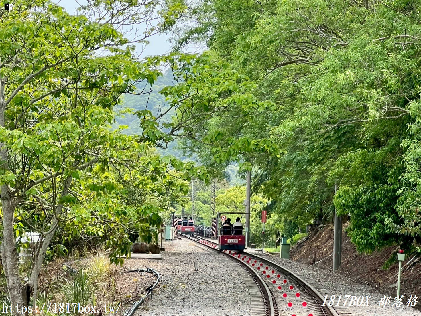【苗栗。三義】舊山線鐵道自行車。C路線龍騰站。6號隧道。鯉魚潭水庫後池堰