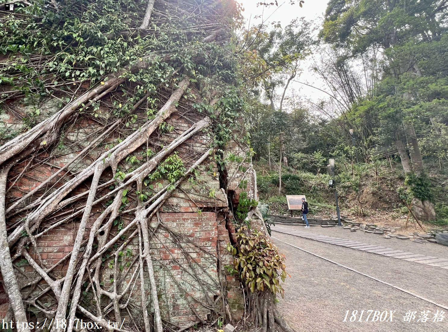【苗栗。三義】龍騰斷橋遺址南斷橋。苗栗舊山線鐵道自行車C線秘境