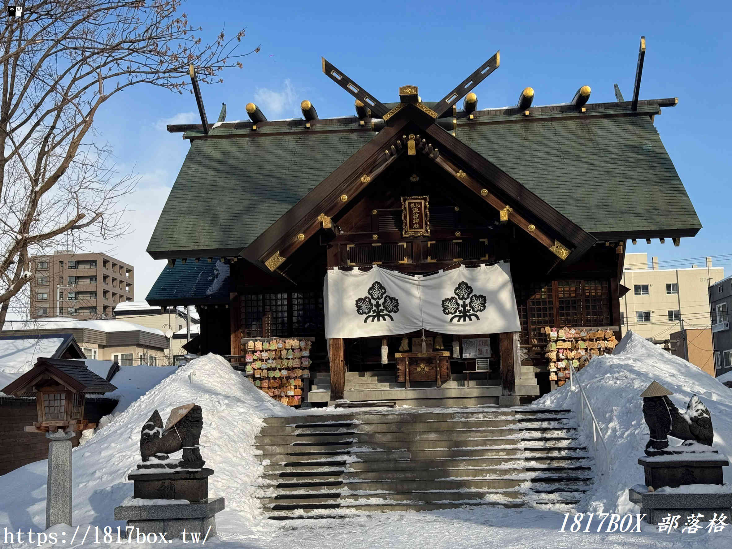 【北海道景點】札幌諏訪神社。花手水美景。特色御朱印、御守。IG打卡熱門景點