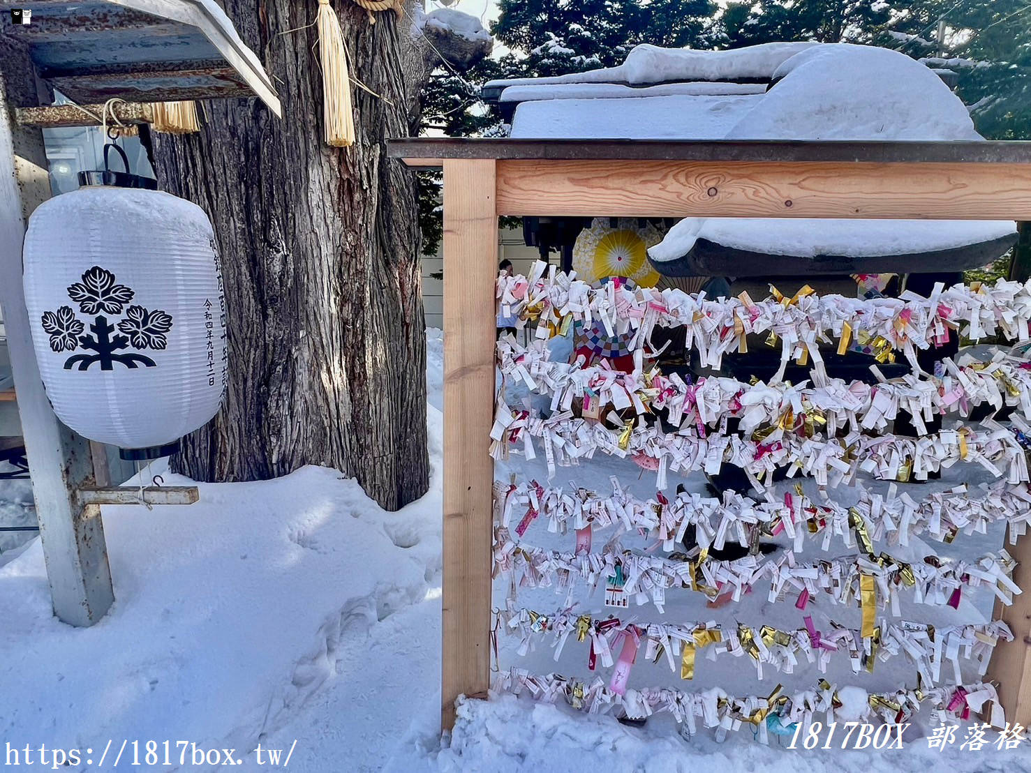 【北海道景點】札幌諏訪神社。花手水美景。特色御朱印、御守。IG打卡熱門景點