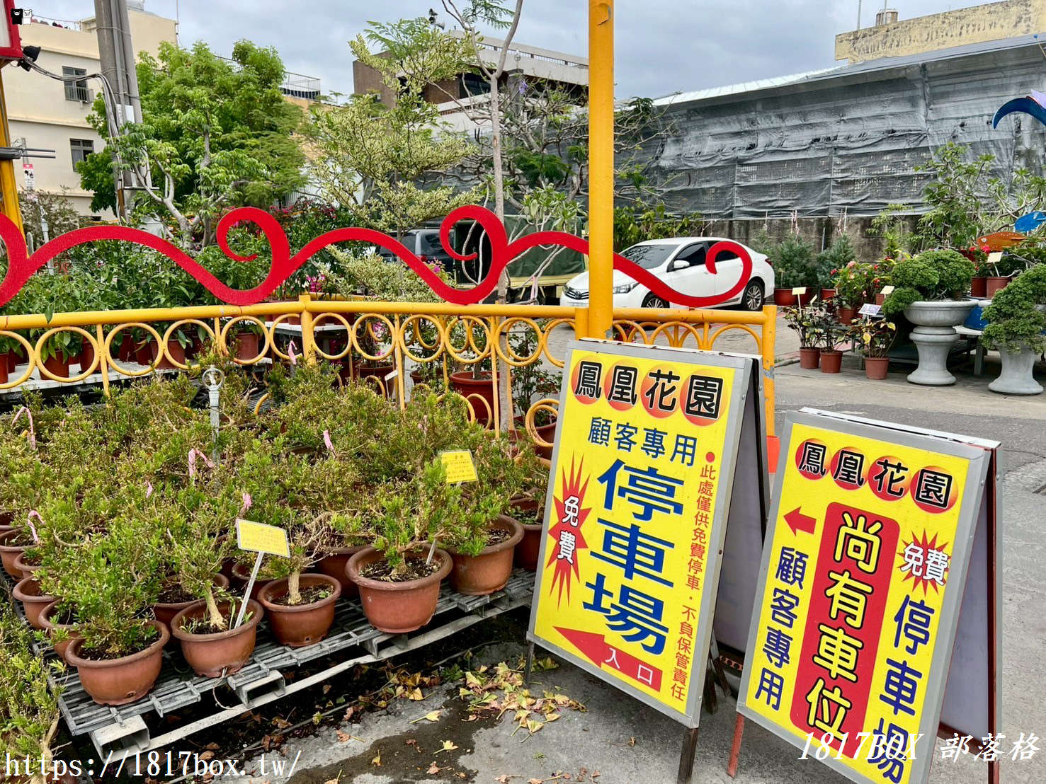 【彰化。田尾】田尾鳳凰花園。千坪戶外花園