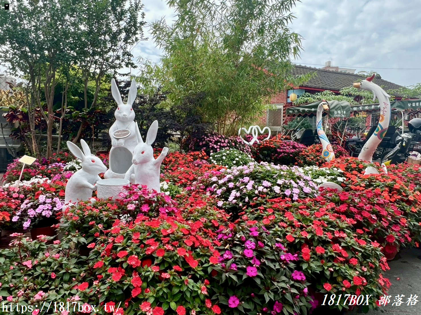 【彰化。田尾】田尾鳳凰花園。千坪戶外花園