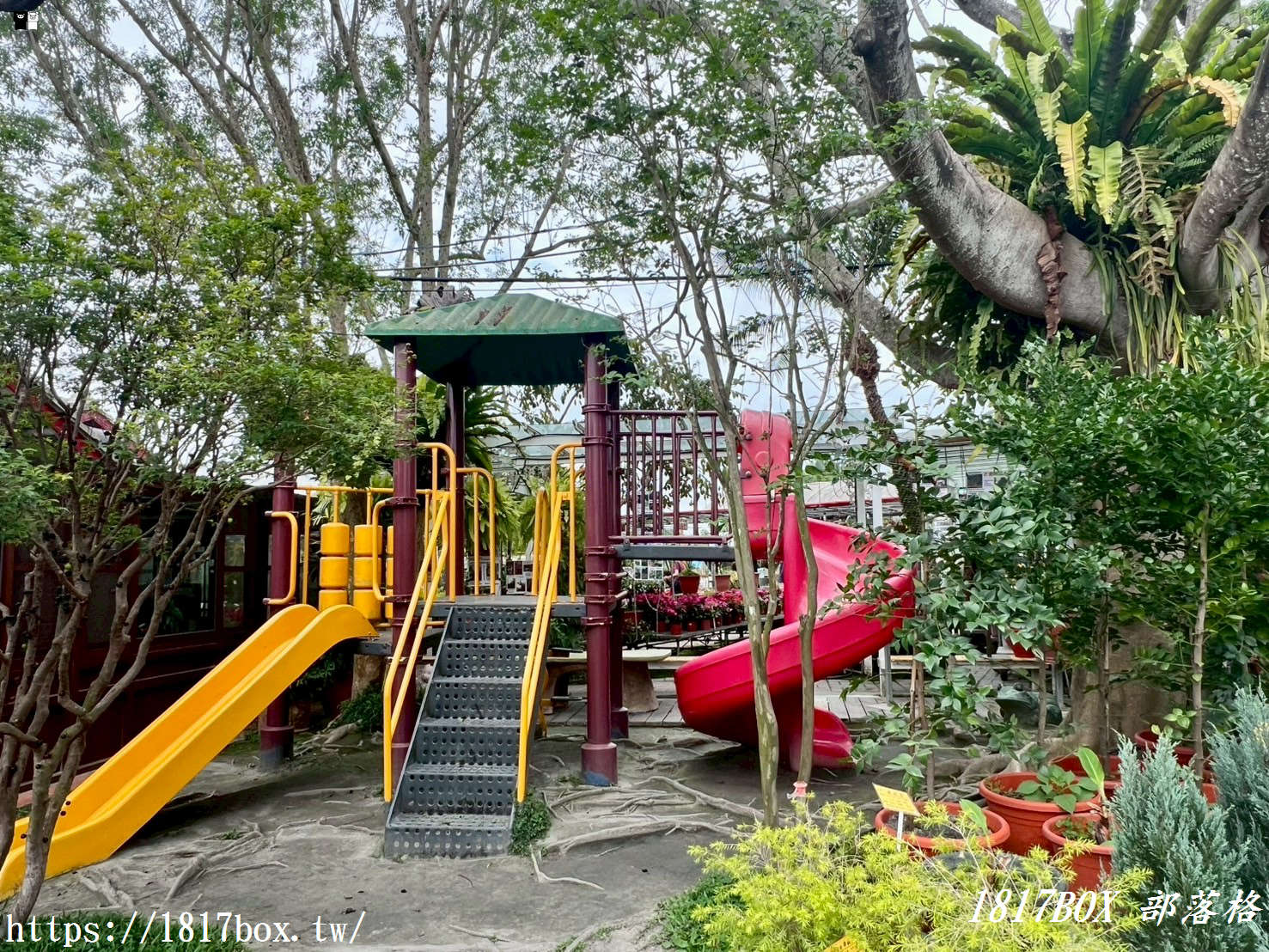 【彰化。田尾】田尾鳳凰花園。千坪戶外花園