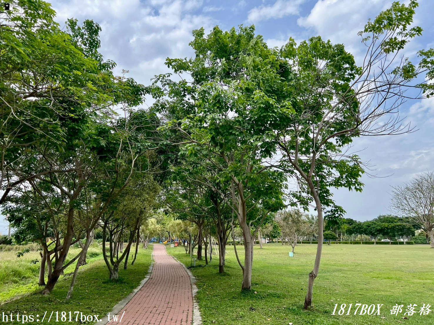 【彰化。秀水】龍騰公園。巨大的雙龍搶珠。順遊秀水綠色隧道