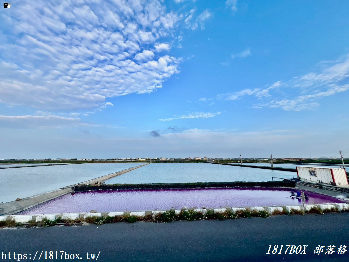 【彰化。芳苑】漢寶濕地。生態豐富。免費挖蛤蜊。粉紅池。網美拍照打卡景點