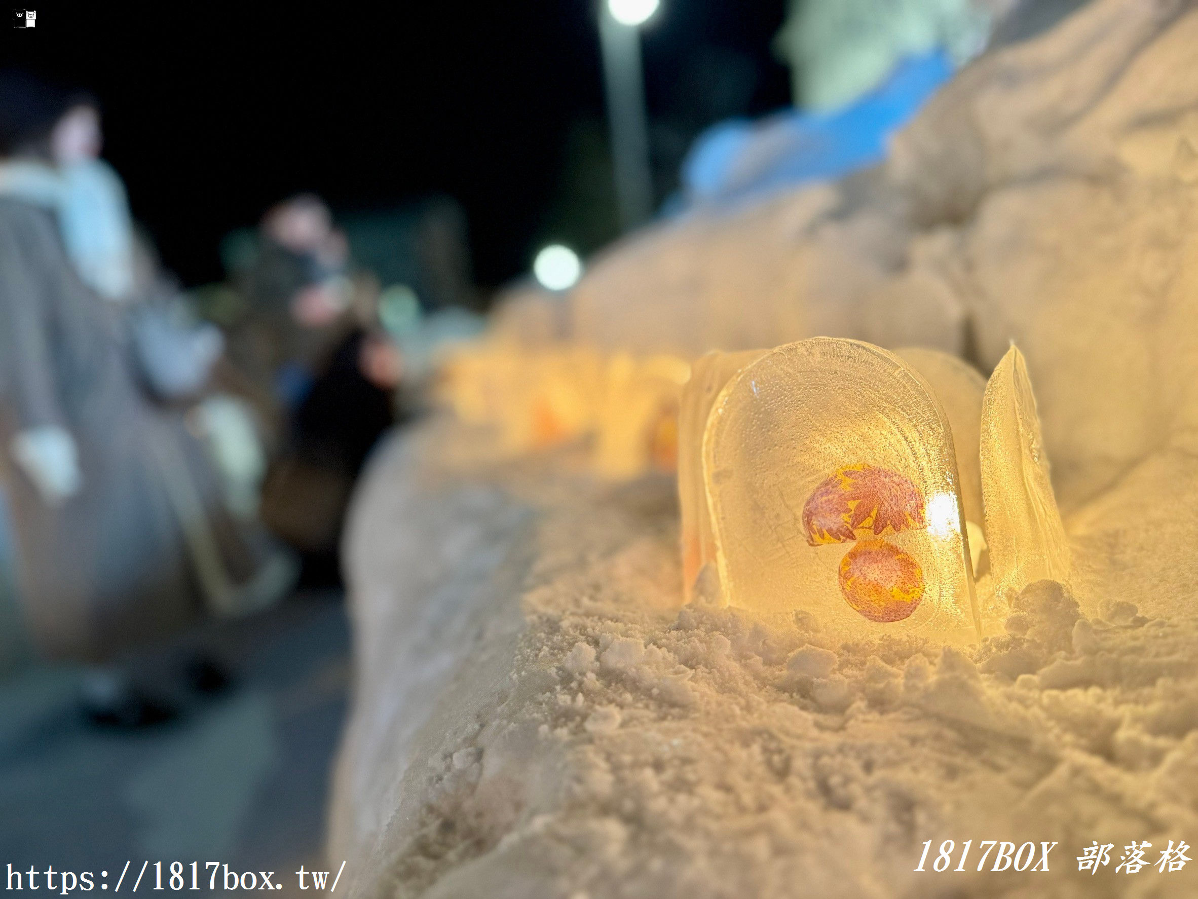 【北海道景點】小樽運河。小樽雪燈之路。北海道冬季浪漫必訪！