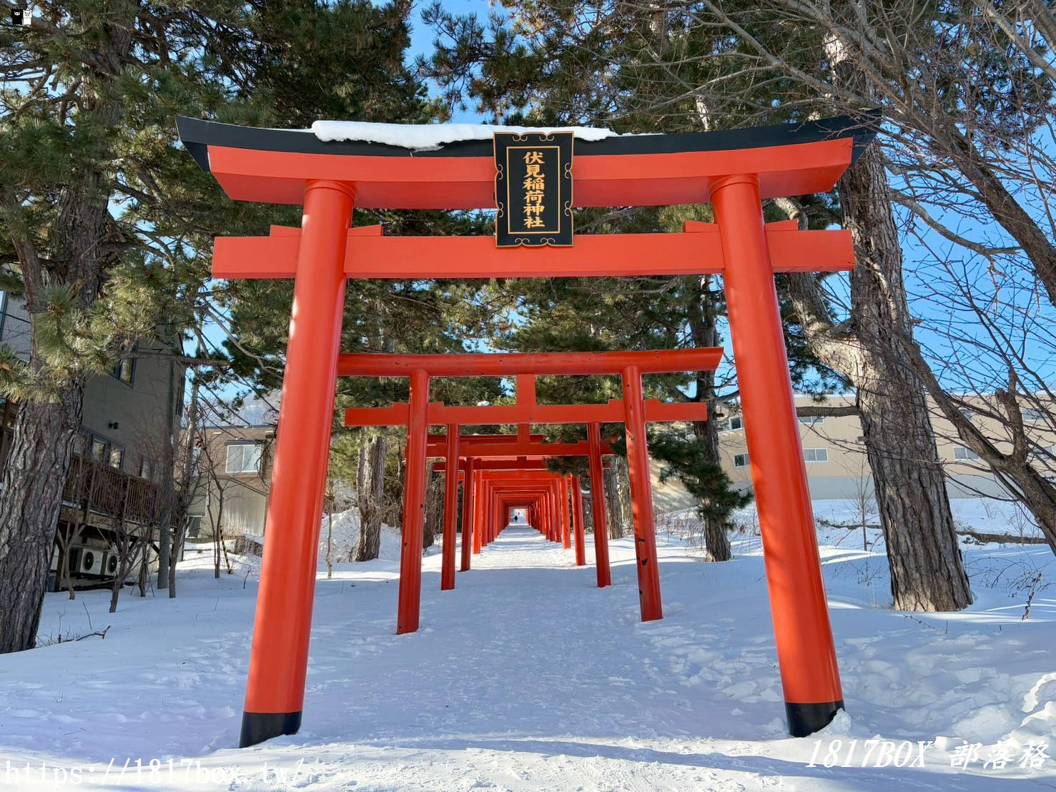 【北海道景點】札幌伏見稻荷神社。札幌也有千本鳥居。冬季佇立在白雪裡的紅色鳥居美不勝收