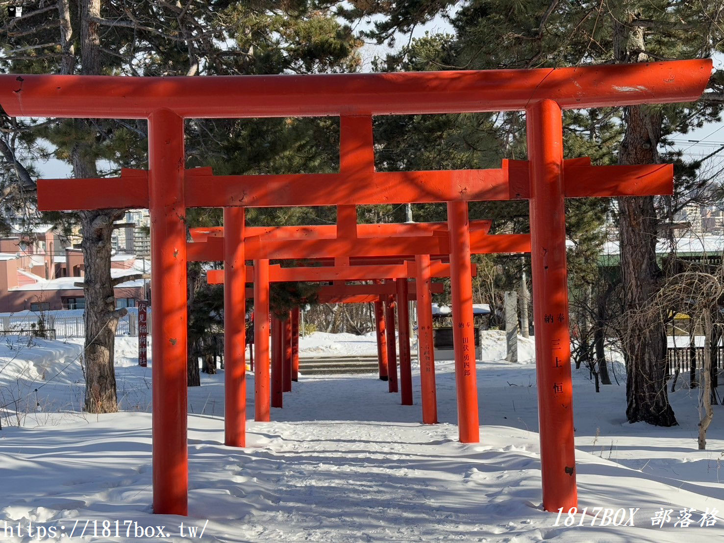 【北海道景點】札幌伏見稻荷神社。札幌也有千本鳥居。冬季佇立在白雪裡的紅色鳥居美不勝收