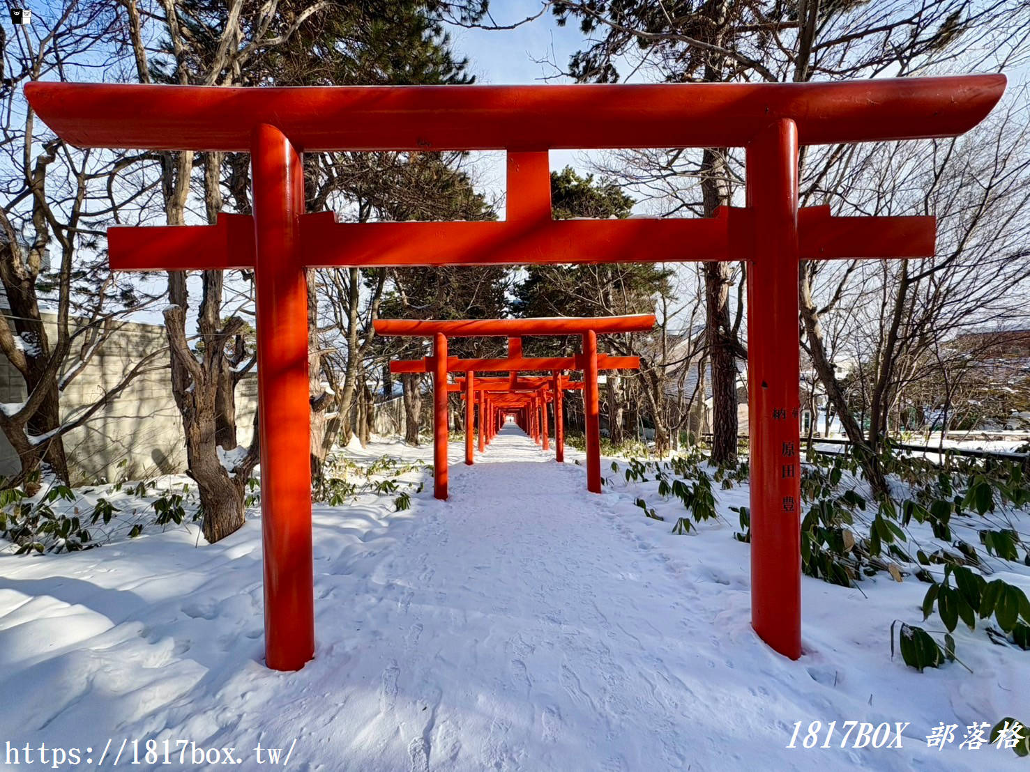 【北海道景點】札幌伏見稻荷神社。札幌也有千本鳥居。冬季佇立在白雪裡的紅色鳥居美不勝收