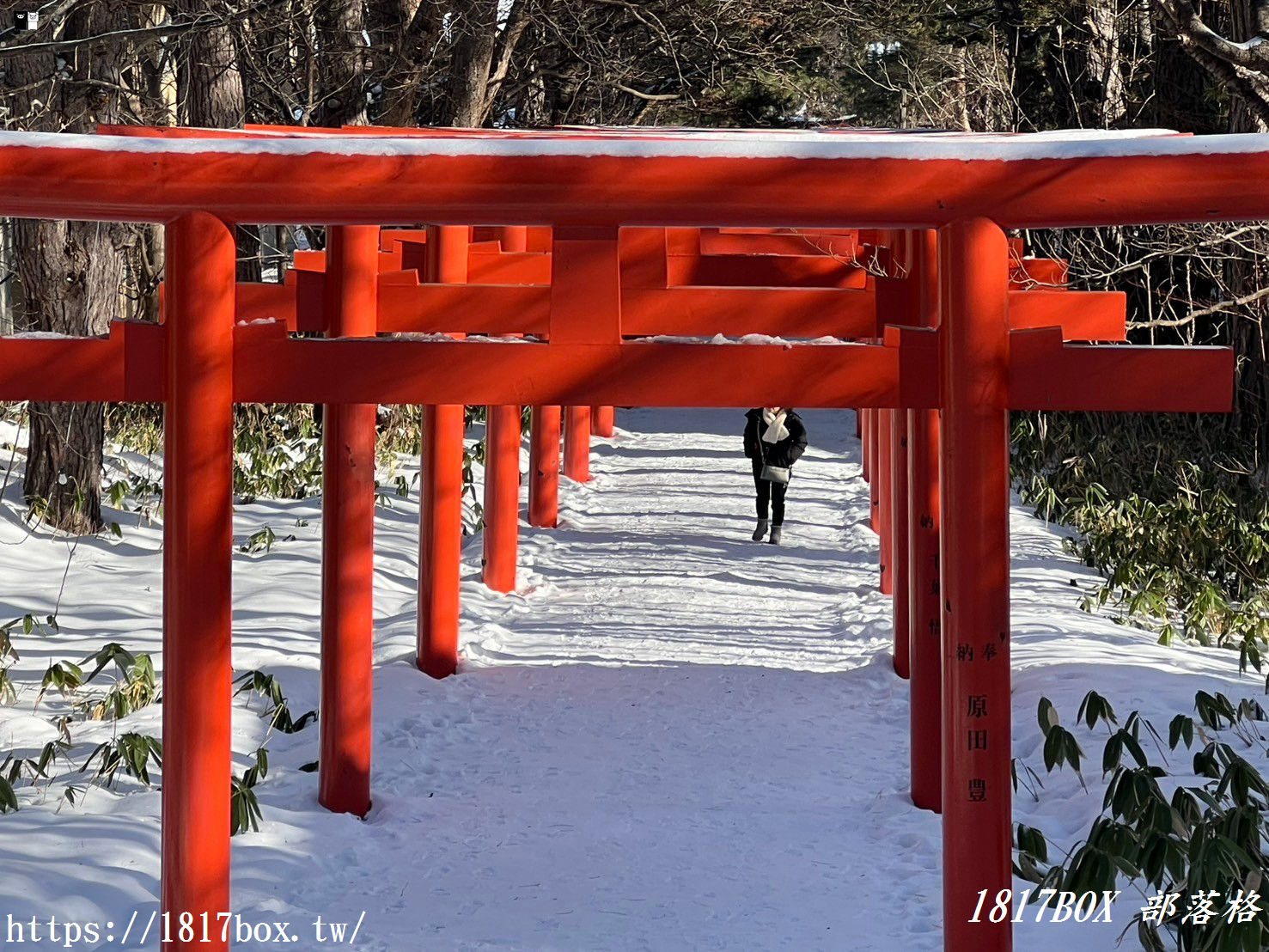 【北海道景點】札幌伏見稻荷神社。札幌也有千本鳥居。冬季佇立在白雪裡的紅色鳥居美不勝收