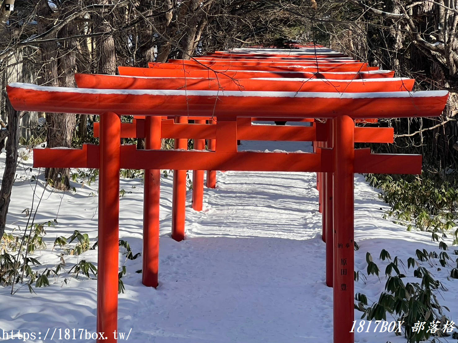 【北海道景點】札幌伏見稻荷神社。札幌也有千本鳥居。冬季佇立在白雪裡的紅色鳥居美不勝收