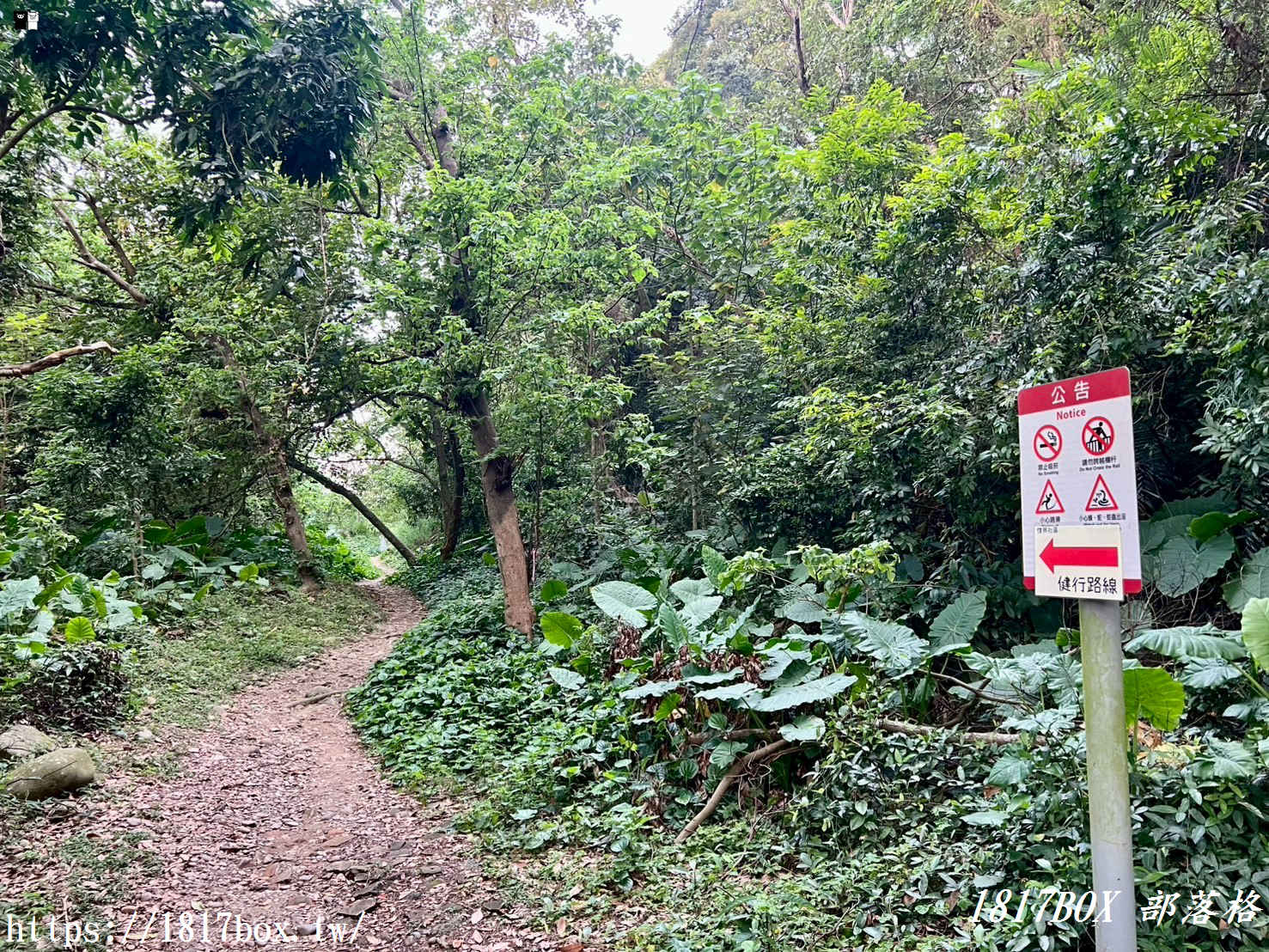 【彰化。田中】麒麟山森林步道。視野極佳。欣賞田中鎮市景