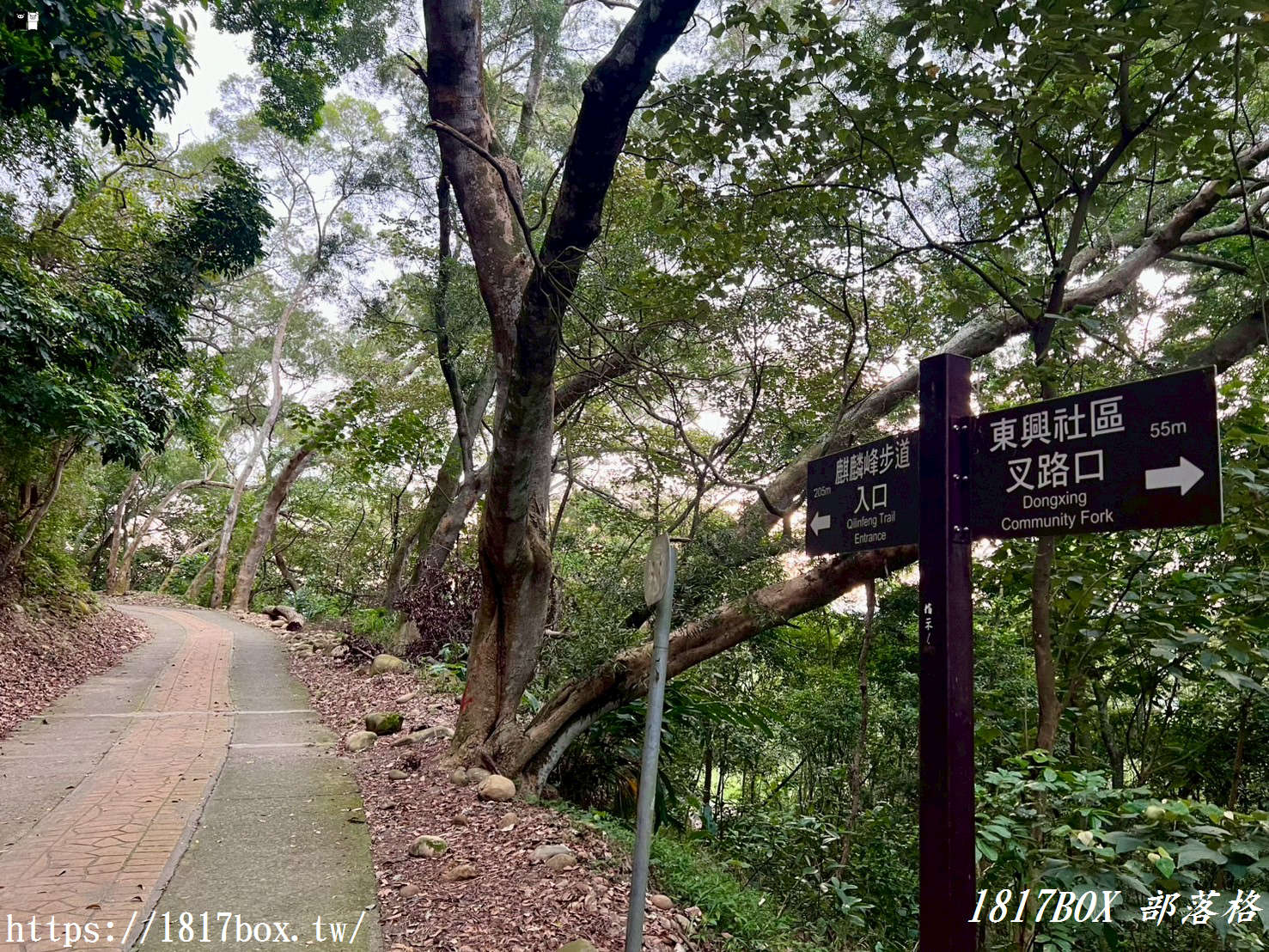 【彰化。田中】麒麟山森林步道。視野極佳。欣賞田中鎮市景