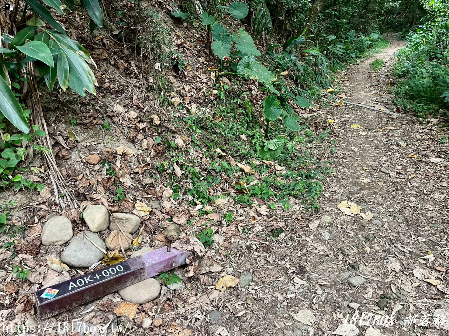 【彰化。田中】麒麟山森林步道。視野極佳。欣賞田中鎮市景