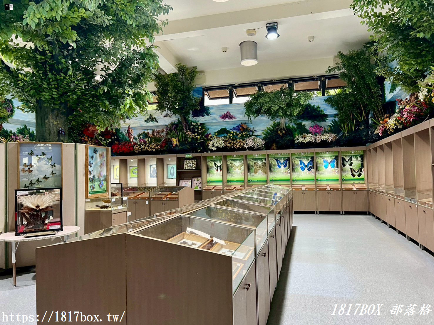 【彰化。社頭】清水岩生態展示中心。珍奇昆蟲標本展示