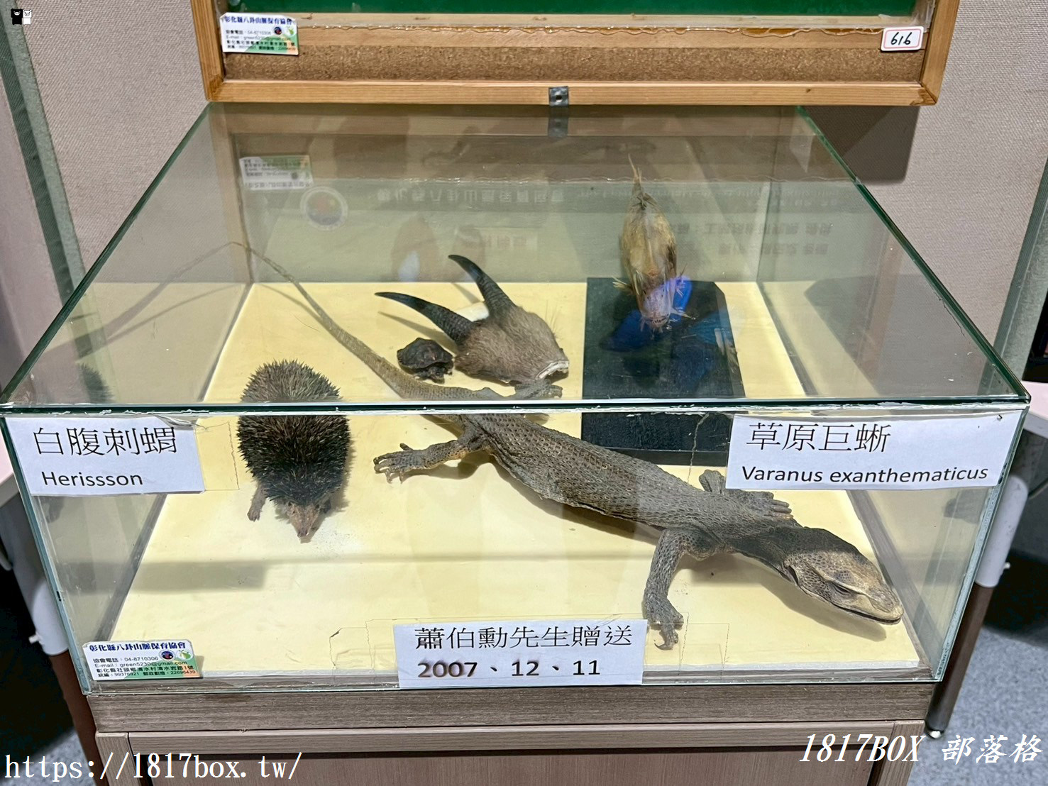 【彰化。社頭】清水岩生態展示中心。珍奇昆蟲標本展示