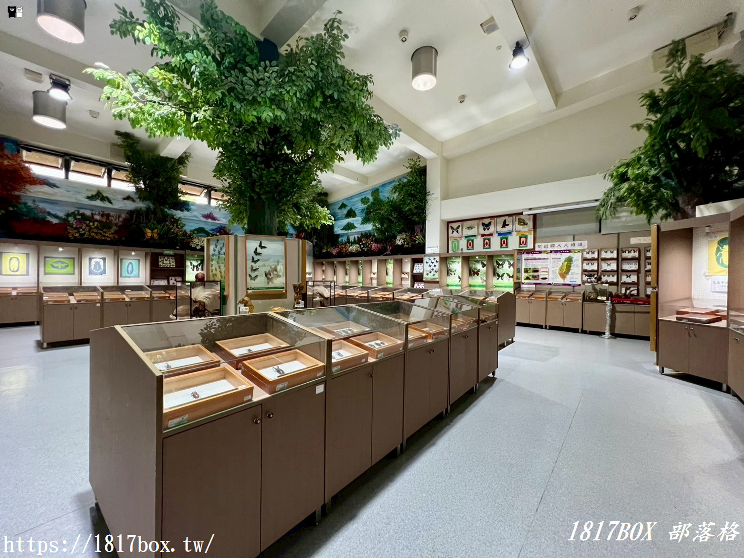 【彰化。社頭】清水岩生態展示中心。珍奇昆蟲標本展示