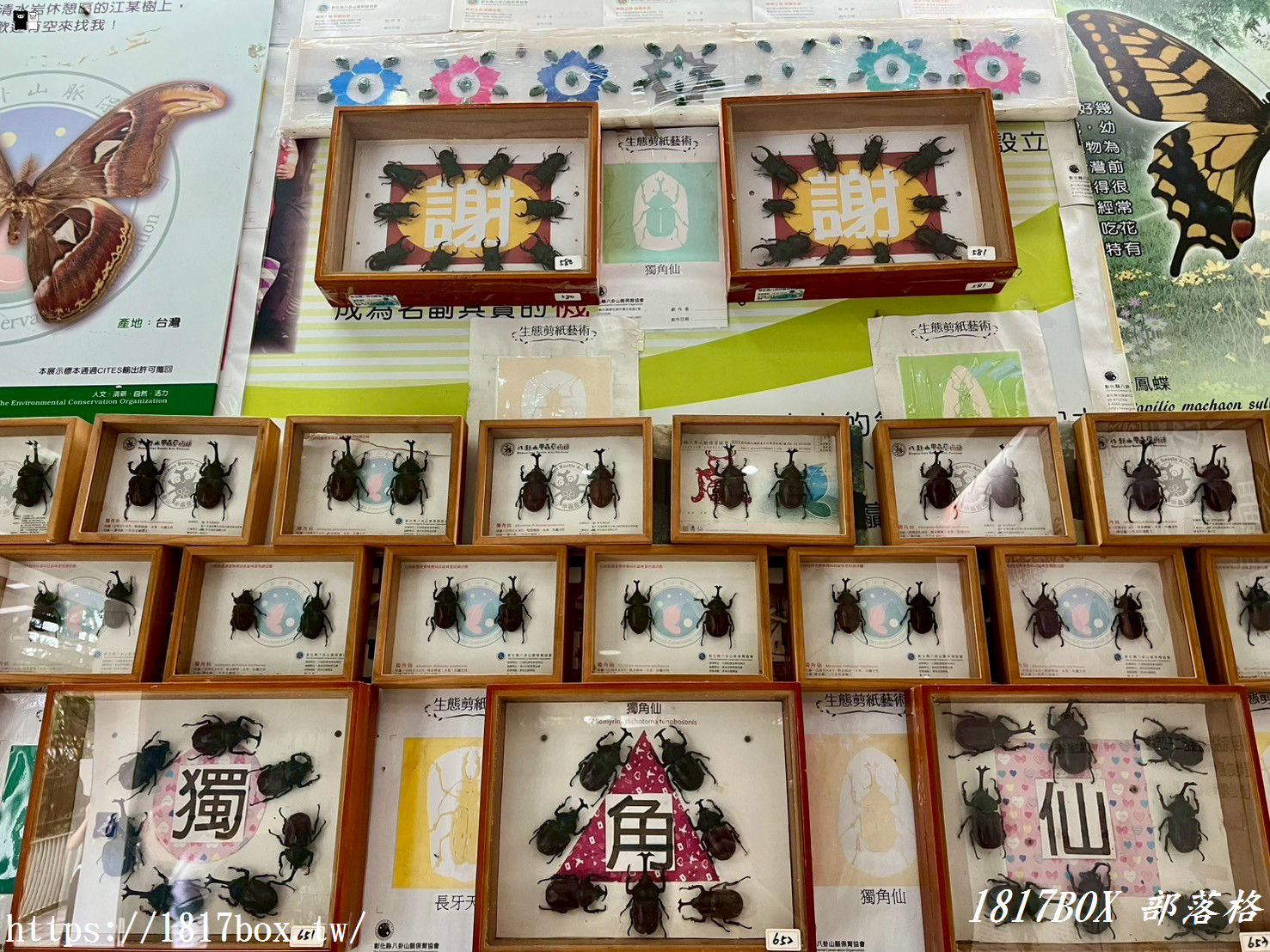 【彰化。社頭】清水岩生態展示中心。珍奇昆蟲標本展示