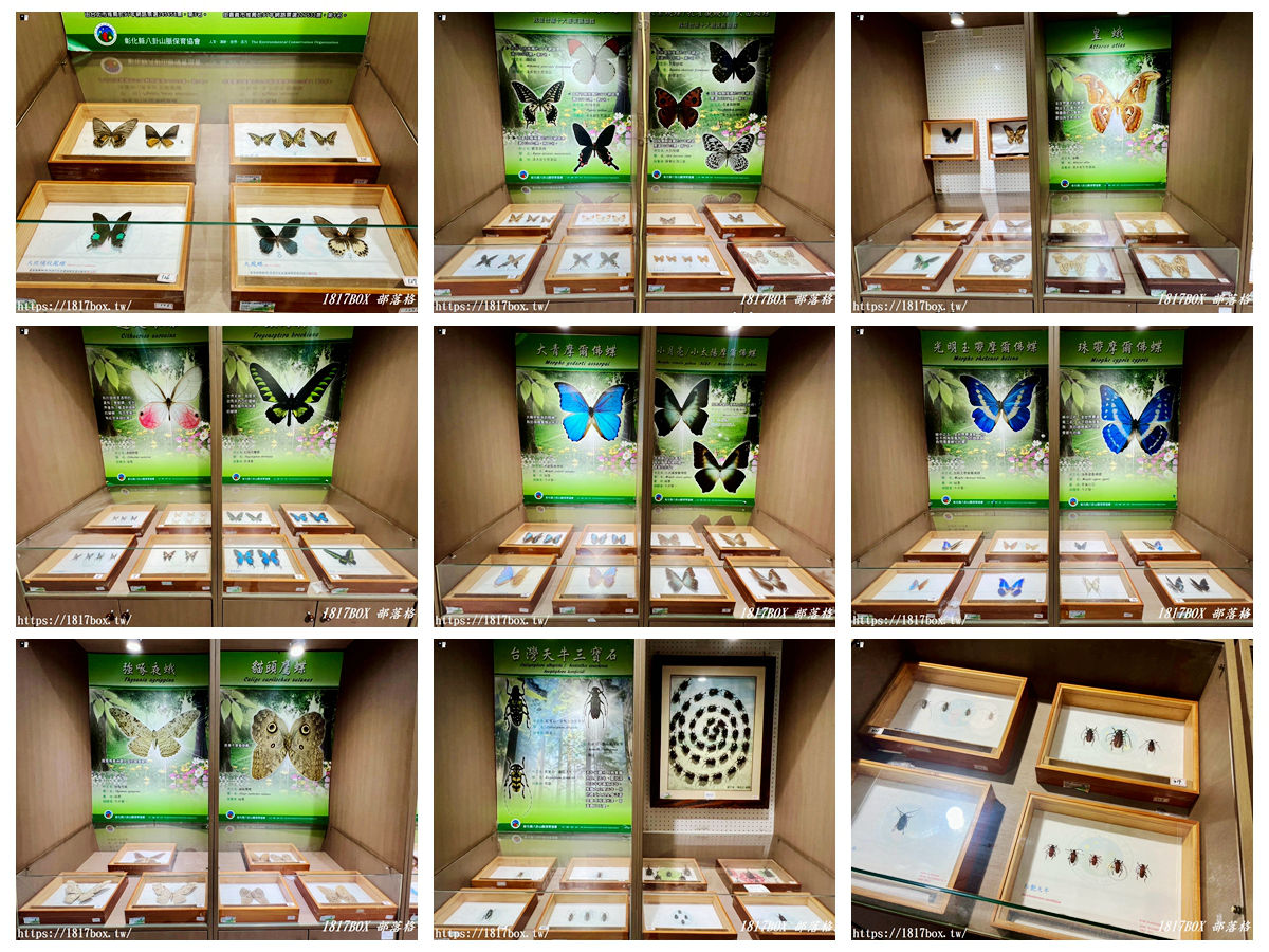 【彰化。社頭】清水岩生態展示中心。珍奇昆蟲標本展示