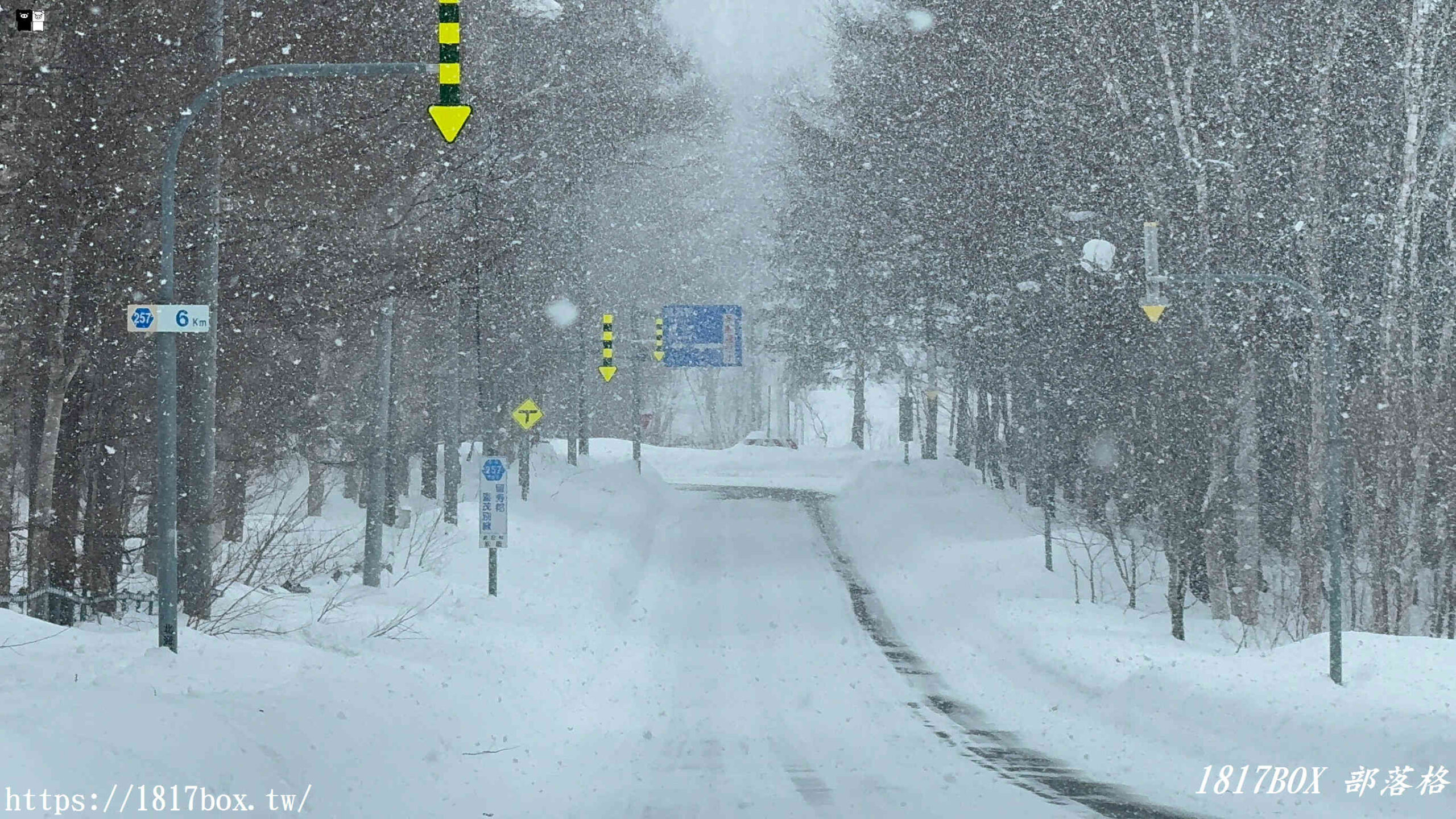 【北海道景點】羊蹄山。蝦夷富士。望羊の一本桜。日本百名山之一