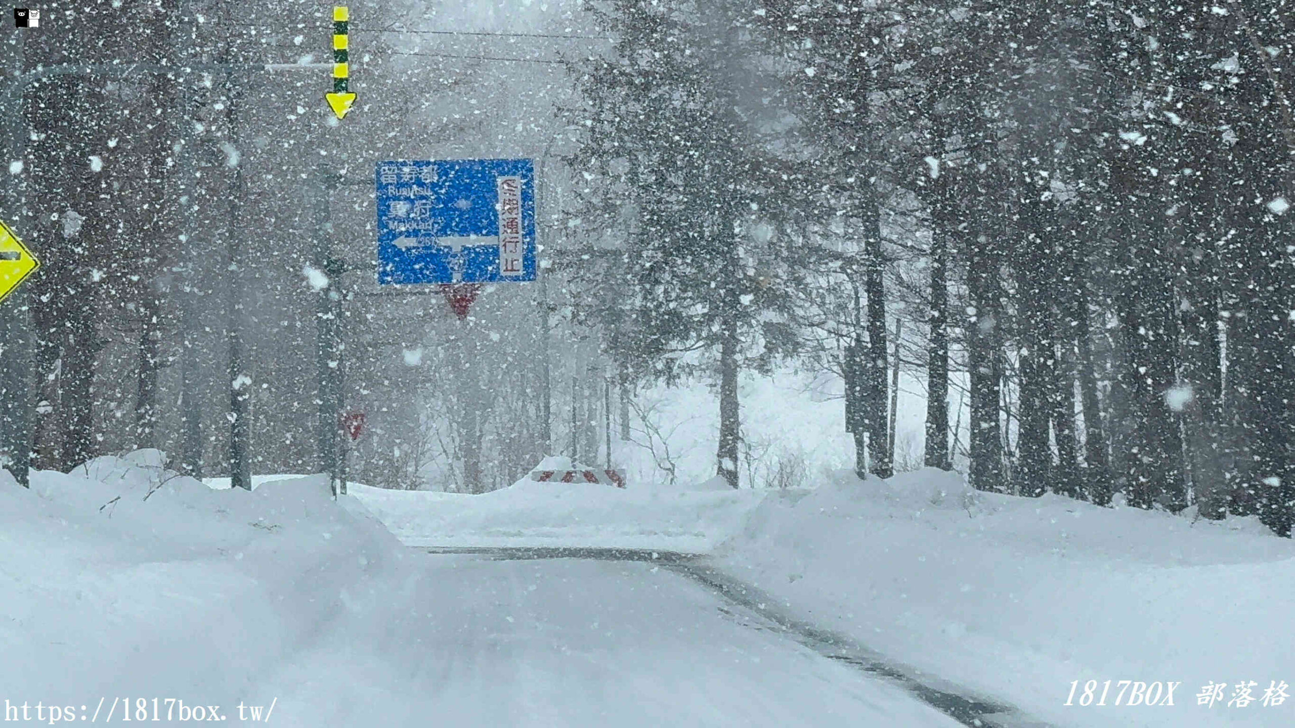 【北海道景點】羊蹄山。蝦夷富士。望羊の一本桜。日本百名山之一