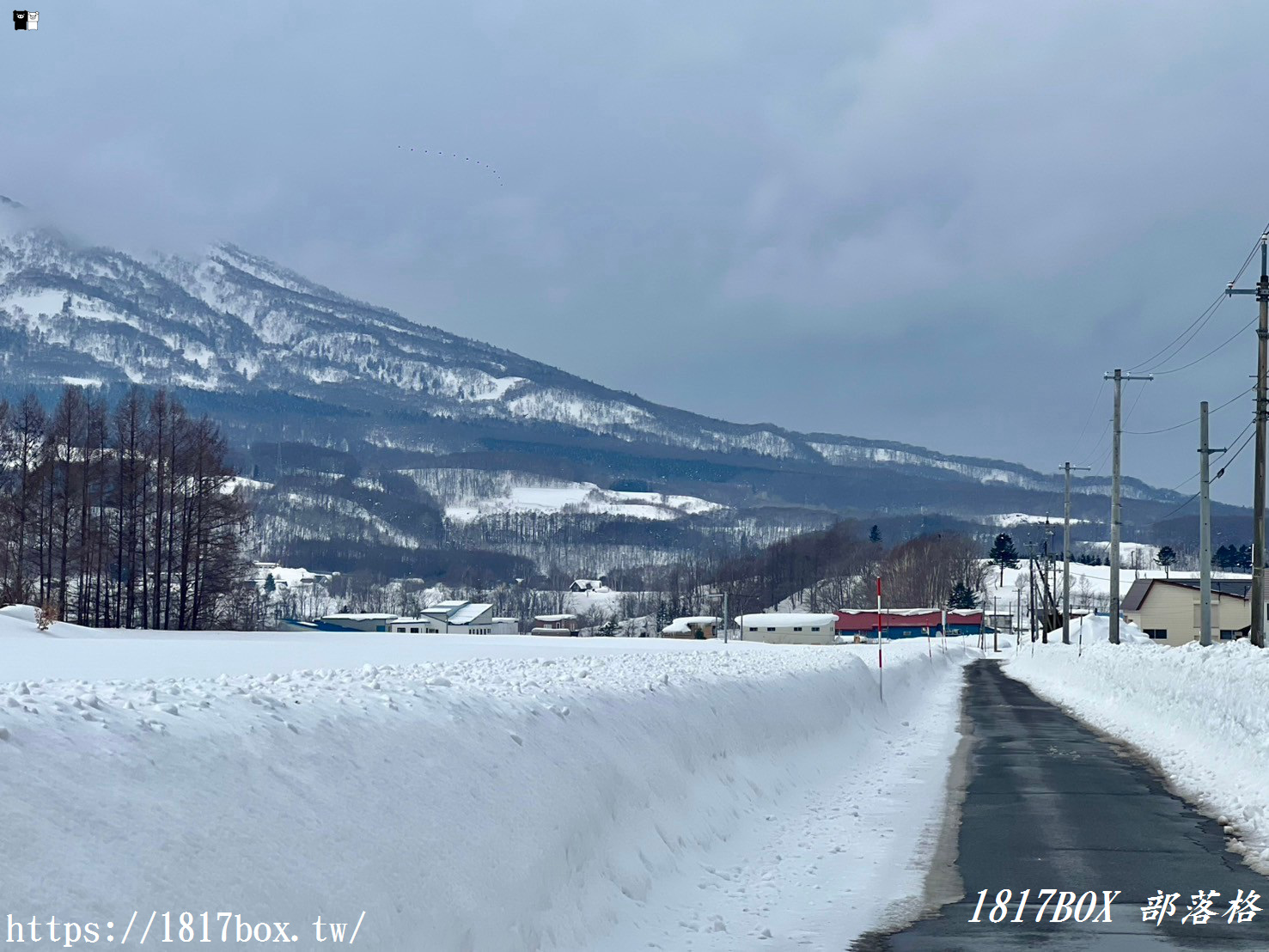 【北海道景點】羊蹄山。蝦夷富士。望羊の一本桜。日本百名山之一