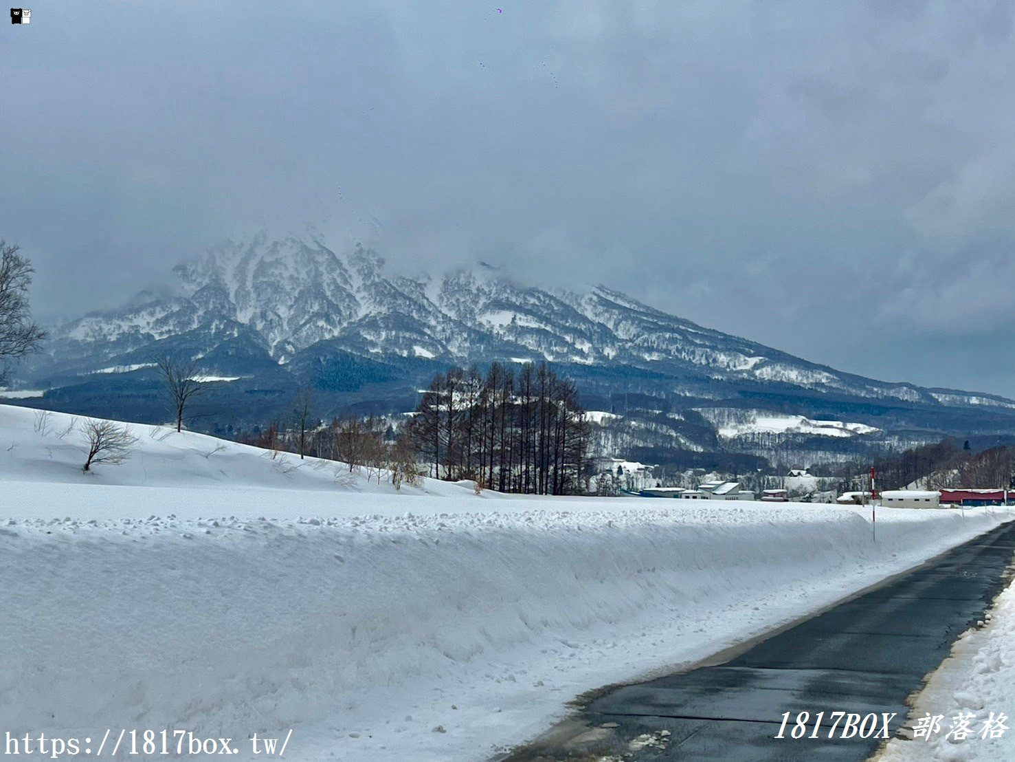 【北海道景點】羊蹄山。蝦夷富士。望羊の一本桜。日本百名山之一